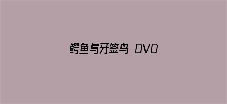 鳄鱼与牙签鸟 DVD版